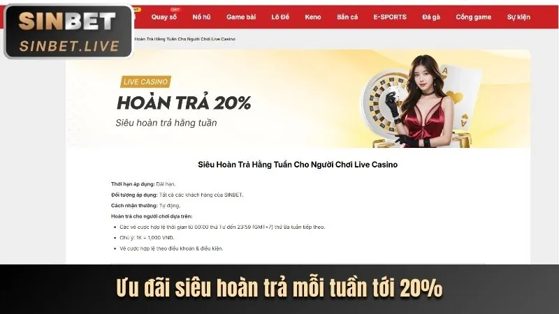 Tổng quan Kubet Casino